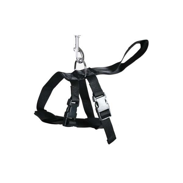 découvrez le harnais voiture chien sécurité 2026, conçu pour assurer le confort et la protection optimale de votre animal lors de vos trajets en voiture.