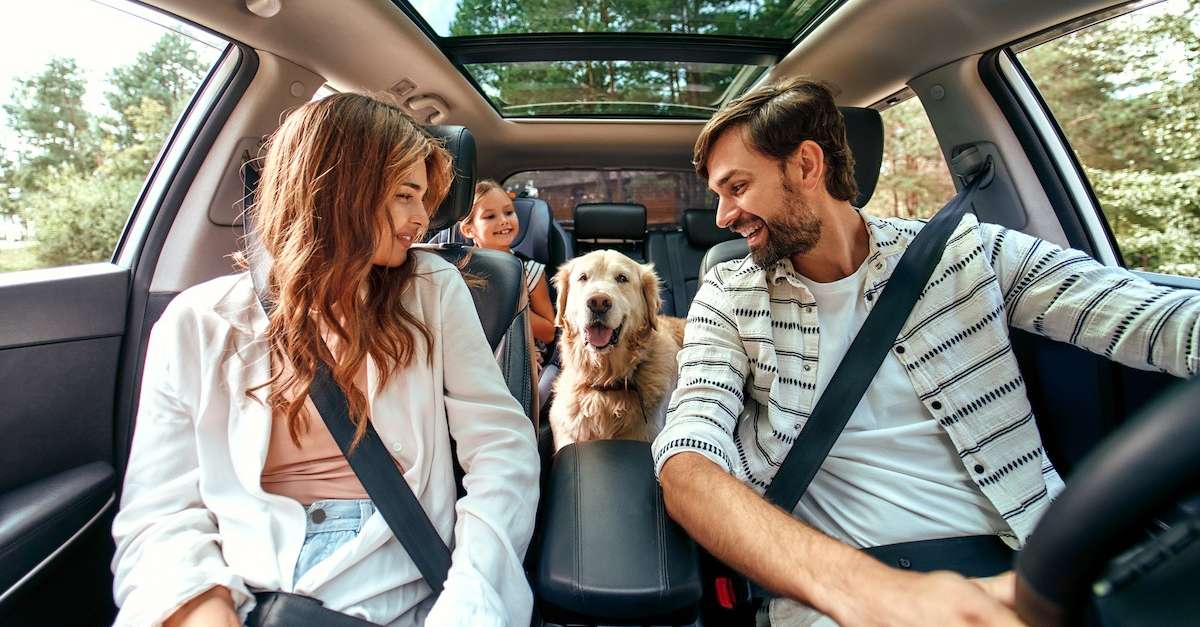 découvrez nos conseils essentiels pour voyager en sécurité avec votre chien à moto, afin d'assurer confort et protection tout au long du trajet.