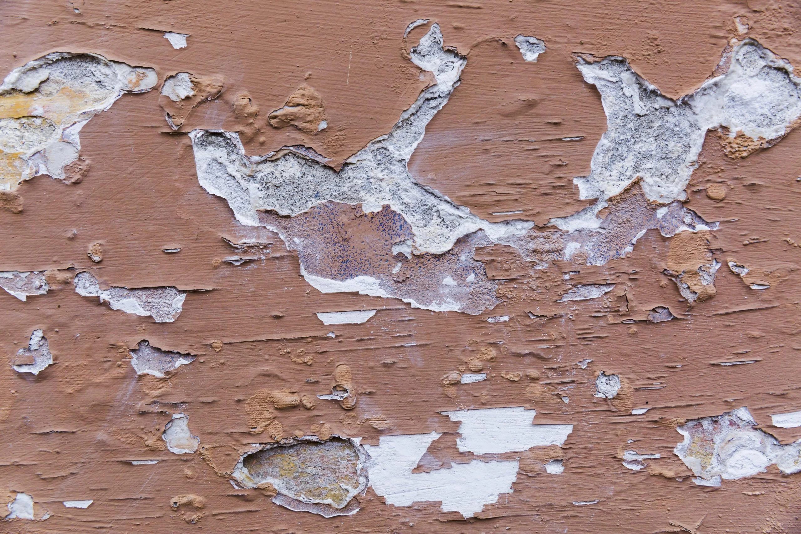 découvrez les causes courantes du décollement de peinture et les solutions efficaces pour réparer et prévenir le problème afin de protéger vos surfaces.